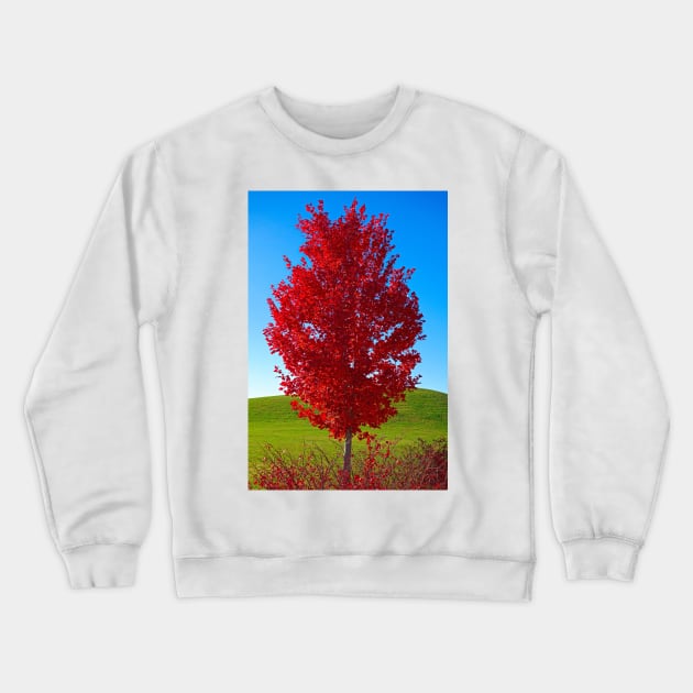 Riverfront Park Primaries Crewneck Sweatshirt by bobmeyers